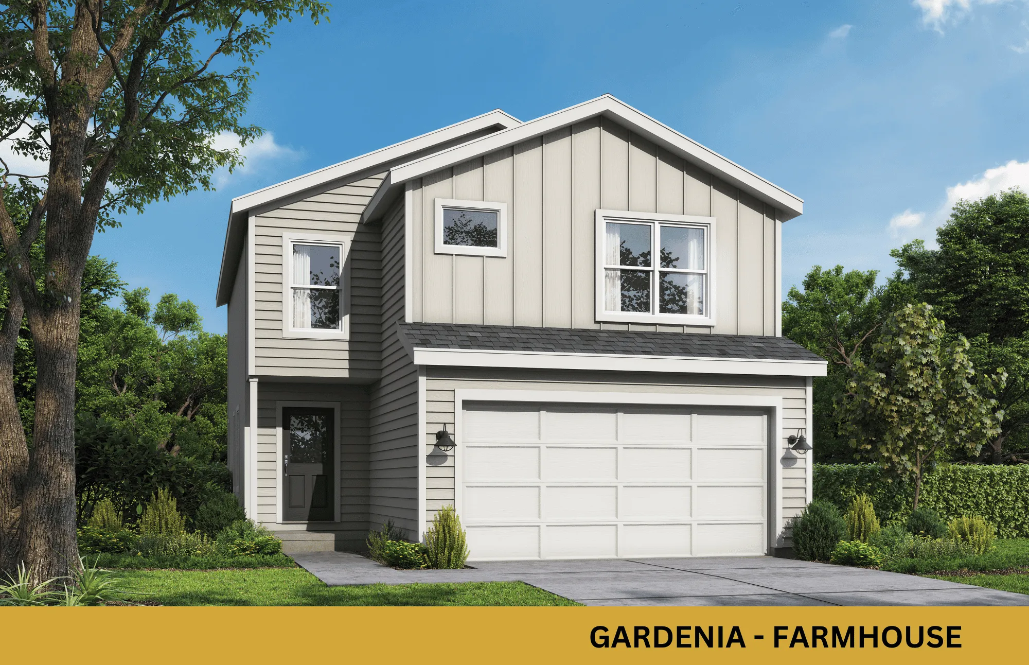 Gardenia elevation