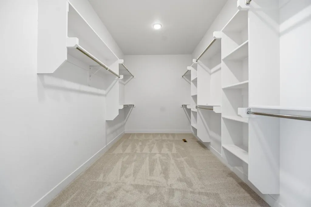 Empty walk-in closet with white built-in shelving, hanging rods, and beige carpet flooring.