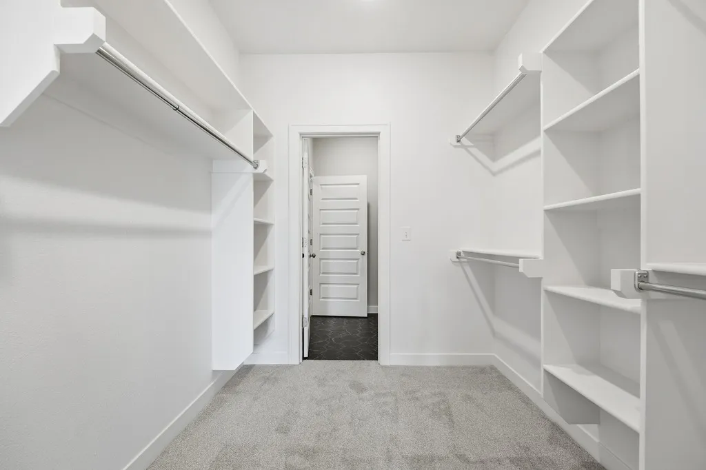 Walk-in closet with white built-in shelving, clothing rods, and gray carpeting.