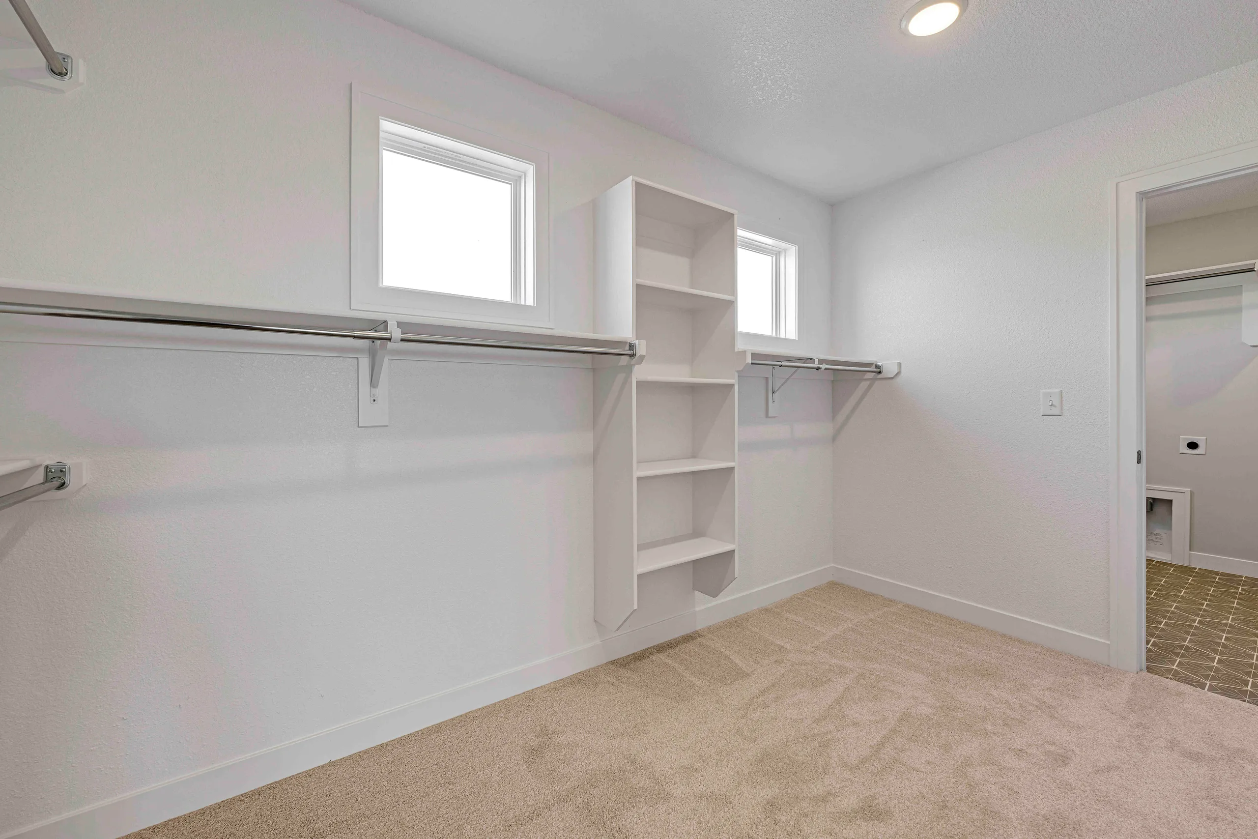 Walk-in closet with white built-in shelving, hanging rods, windows, and carpeted floor.