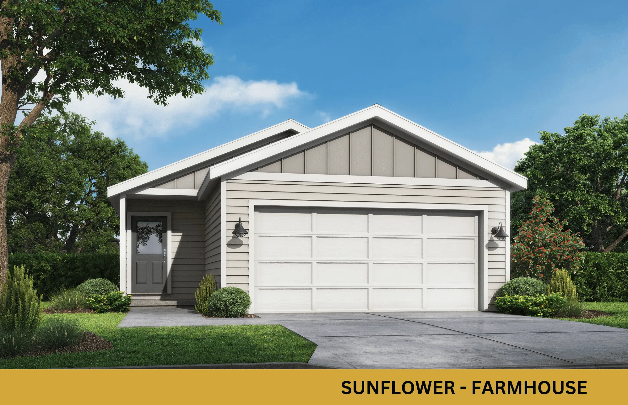 Sunflower elevation