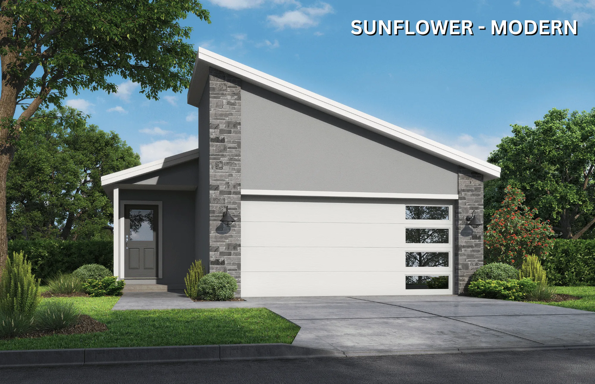 SUNFLOWER MODERN Color w for carousel
