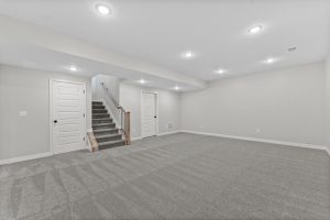 Serenade Finished Basement