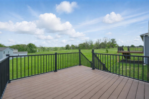 Lot 121 778 Creekmoor Dr Harmony Farmhouse Back Patio